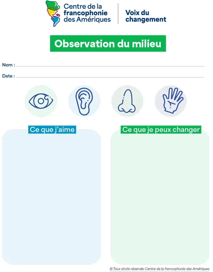 Observation du milieu